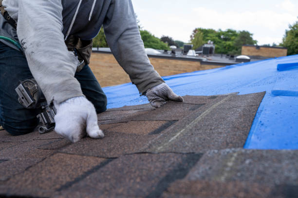 Best New Roof Installation  in Ponca City, OK