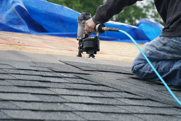 Best Roof Gutter Cleaning  in Ponca City, OK
